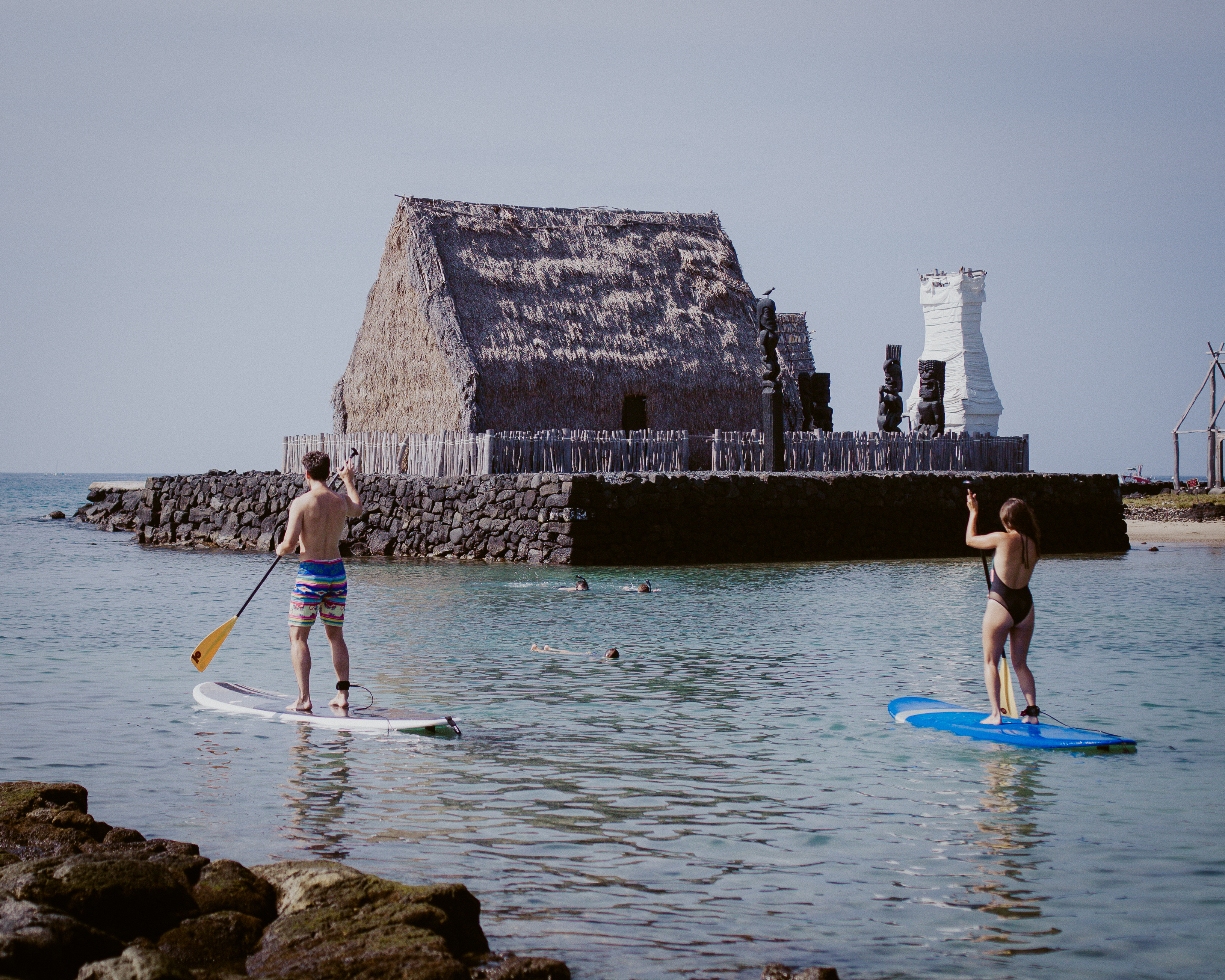 paddle board, ocean, hawaii