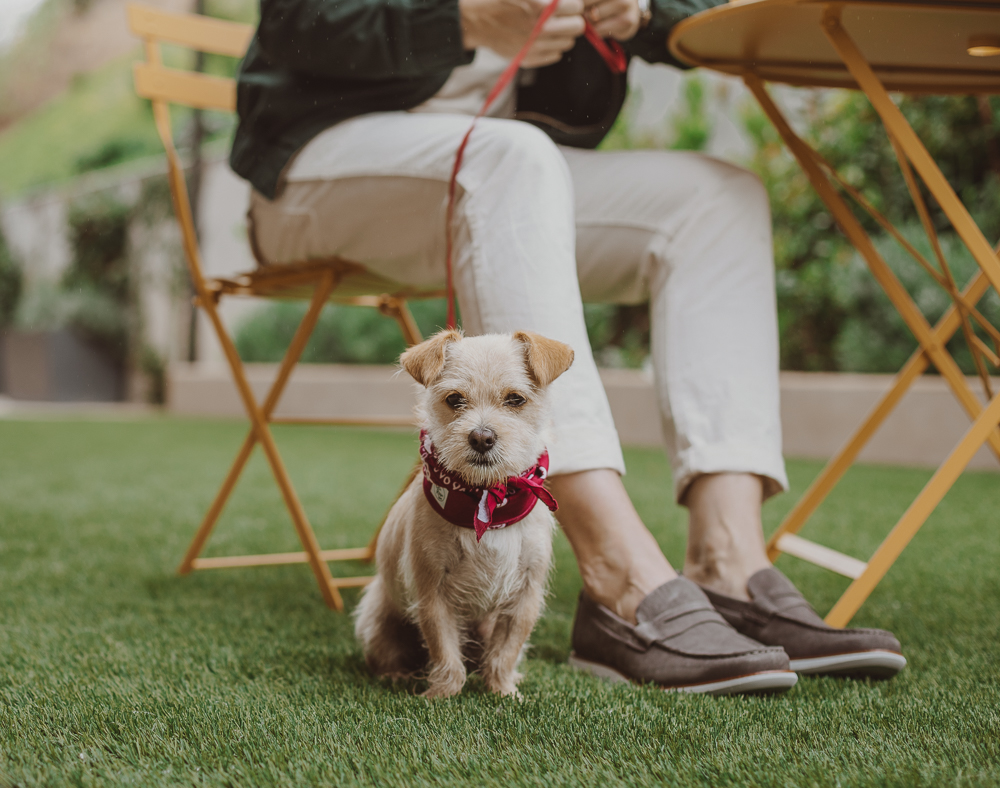 Lifestyle blogger Devin McGovern of Outlined Cloth takes a stroll in Malibu with a puppy and the Kennedy Loafers from Sperry