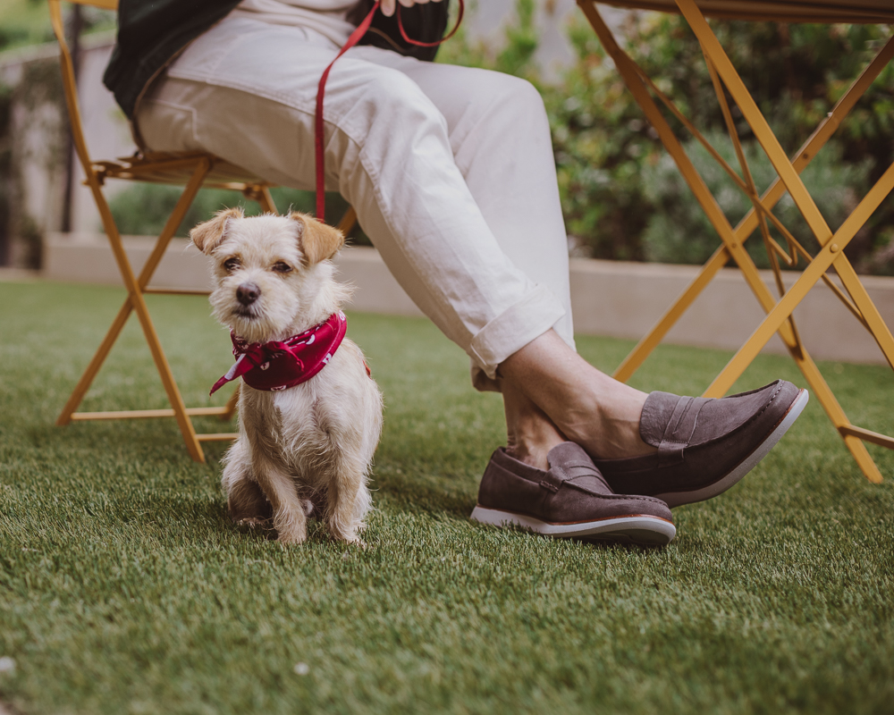 Lifestyle blogger Devin McGovern of Outlined Cloth takes a stroll in Malibu with a puppy and the Kennedy Loafers from Sperry