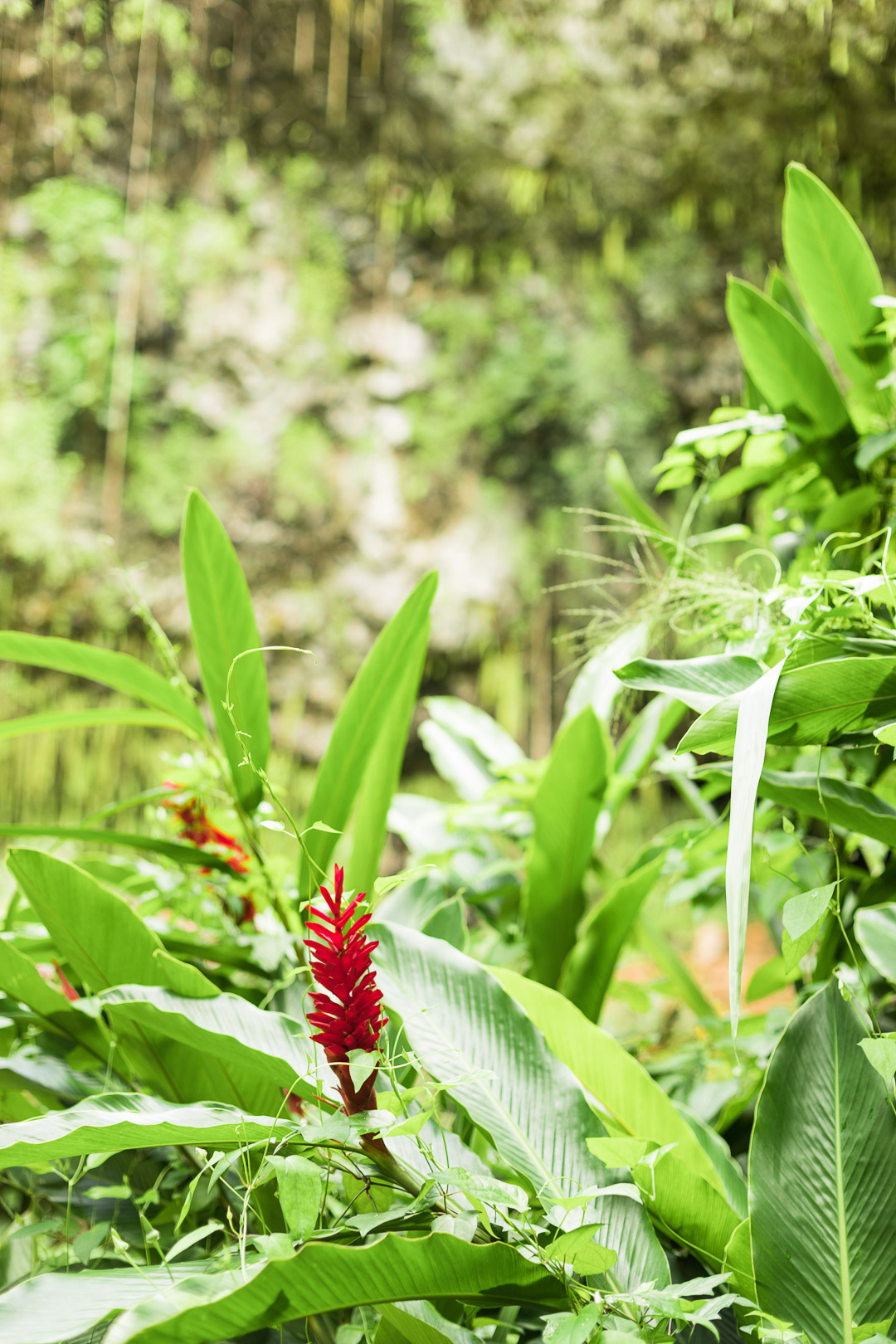 Lifestyle blogger Outlined Cloth adventuring Kauai in Sperry boots